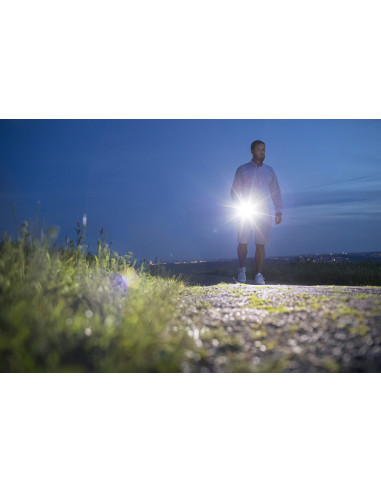 Linterna LED LuxPremium TL 410