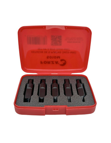 ESTUCHE CON 5 PUNTAS M2,5-M10