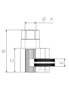 EXTRACTOR DE ESPÁRRAGOS... 2