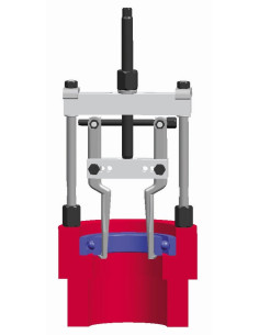 EXTRACTOR INTERIORES FORZA... 2