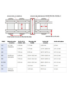 TENSOR DE CADENAS FORZA 2