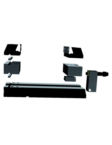 CALZOS FORZA PARA MORDAZA