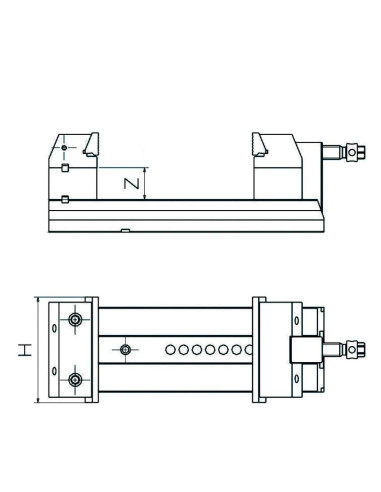 CALZOS FORZA PARA MORDAZA