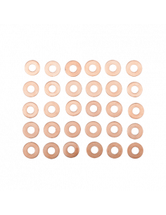 Juegos de 30 arandelas para inyectores