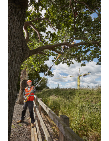 DCMPS567P1-QW Podadora de pértiga XR 18V