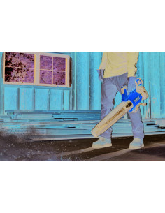 DCMBL562P1-QW - Soplador... 2