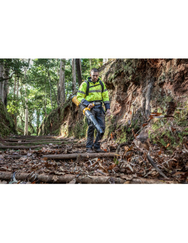 DCMBBL800N-XJ - Soplador Mochila sin...