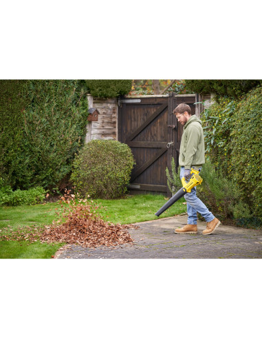 Soplador superficies duras V20 Li-Ion...