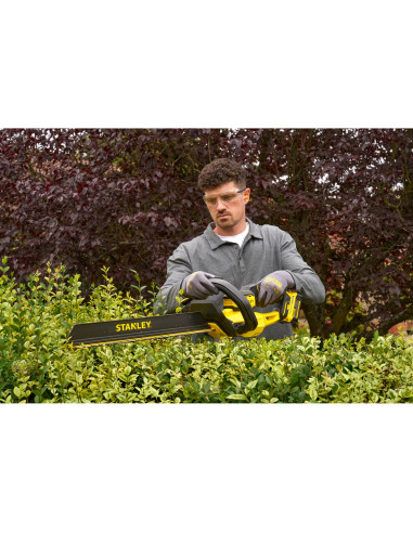 Cortasetos sin escobillas V20 Li-Ion...