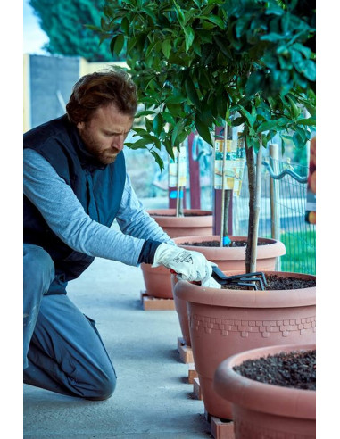 Cultivador de fibra de vidrio para...