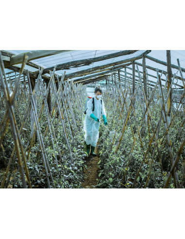 Pulverizador Profesional para...