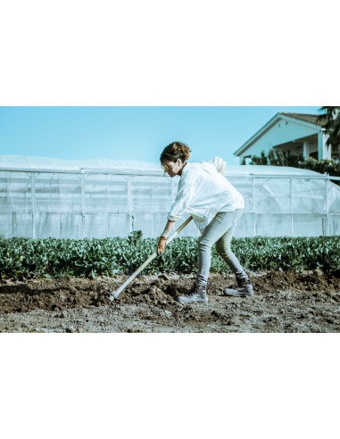 Azadón forjada de doble uso / 801