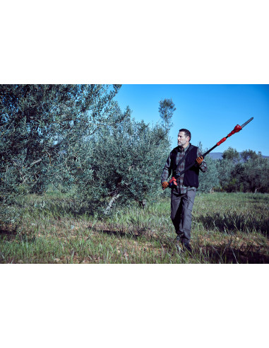 Motosierra pértiga a batería 210mm de...