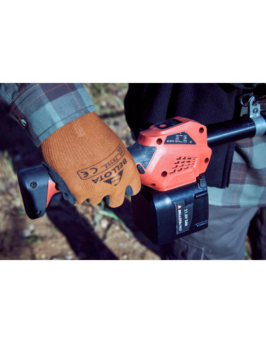 Motosierra pértiga a batería 210mm de...