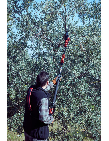 Motosierra pértiga a batería 210mm de...