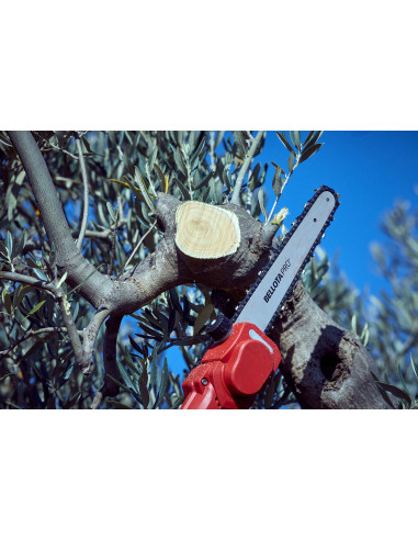 Motosierra pértiga a batería 210mm de...