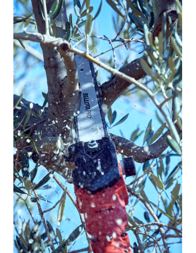 Motosierra pértiga a batería 210mm de...