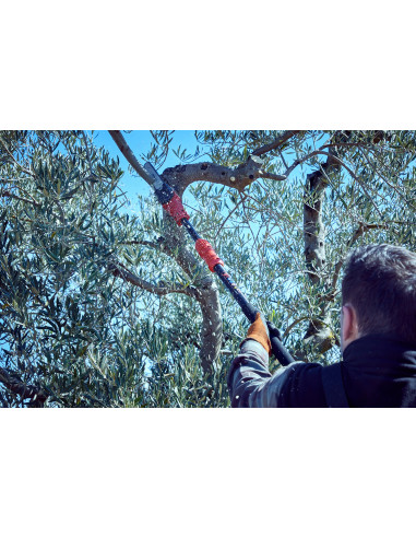 Motosierra pértiga a batería 210mm de...