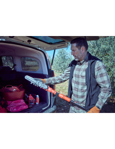 Motosierra pértiga a batería 210mm de...