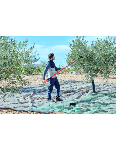 Vareador de aceitunas Cigüeña  con 2...