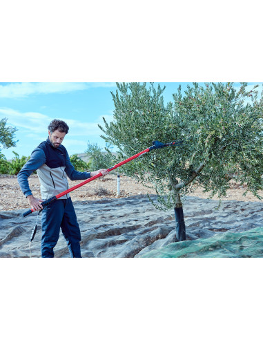 Vareador de aceitunas Cigüeña  con 2...