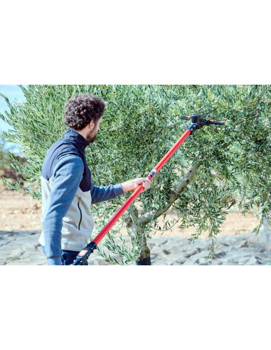 Vareador de aceitunas Cigüeña  con 2...