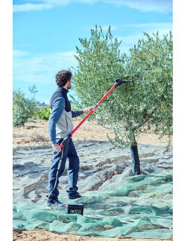 Vareador de aceitunas Cigüeña  con 2...