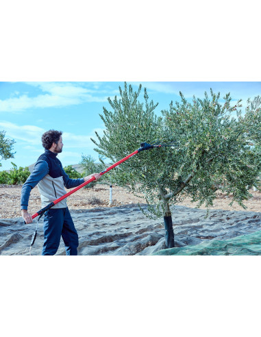 Vareador de aceitunas Cigüeña  con 2...