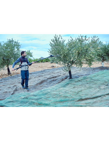 Vareador de aceitunas Colibrí con 3...