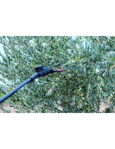 Vareador de aceitunas Colibrí con 3...