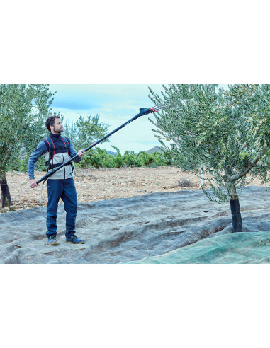 Vareador de aceitunas Colibrí con 3...