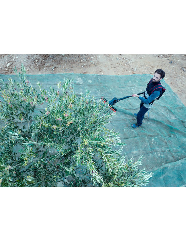 Vareador de aceitunas Colibrí con 3...