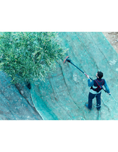 Vareador de aceitunas Colibrí con 3...