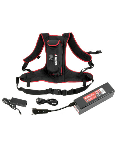 Batería de espalda de Litio-ion,...