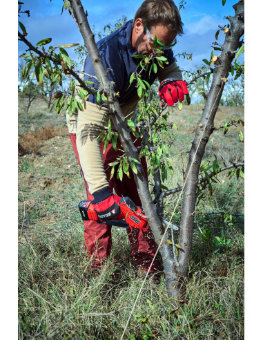 Motosierra Eléctrica a batería para...