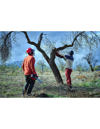Motosierra de poda de 1 mano a...