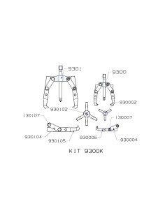 ESTUCHE FORZA DE... 2