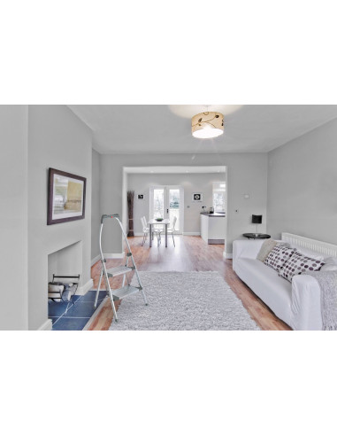 Mini escalera de aluminio LivinStep Plus