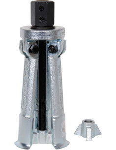 Extractor interior de 3...