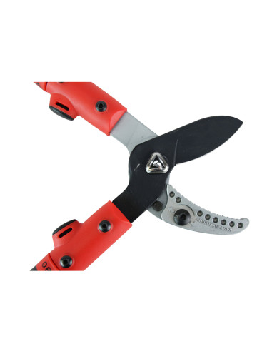 Tijera Yunque extensible para poda...