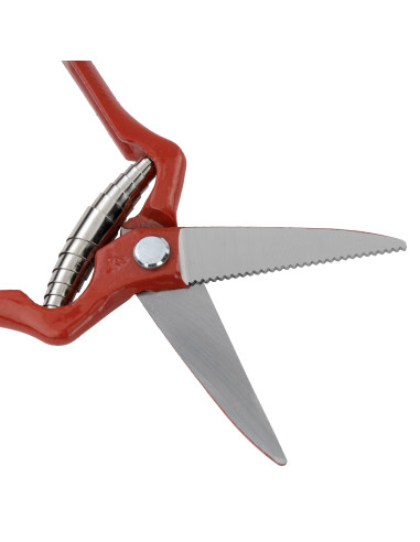 Tijera forjada de una mano, para...