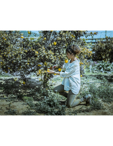 Tijeras de una mano, mango de acero...