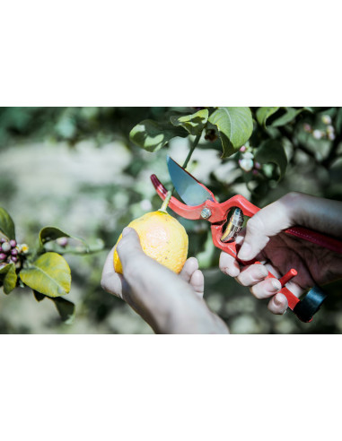 Tijeras de una mano, mango de acero...
