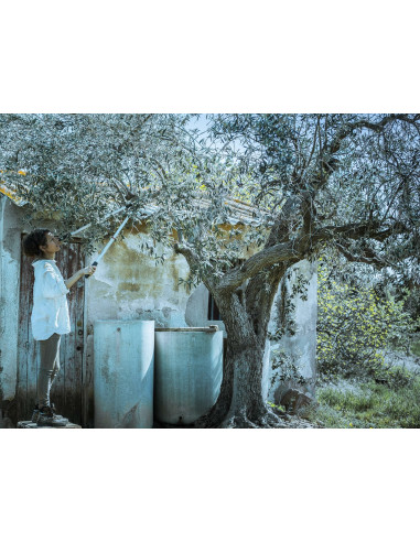 Tijera de dos manos de corte...