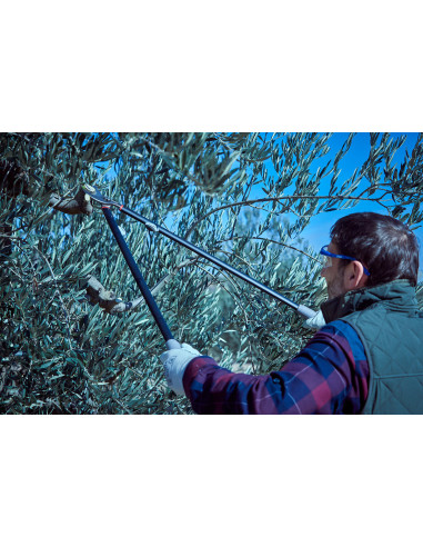 Tijera de dos manos para poda frutal...