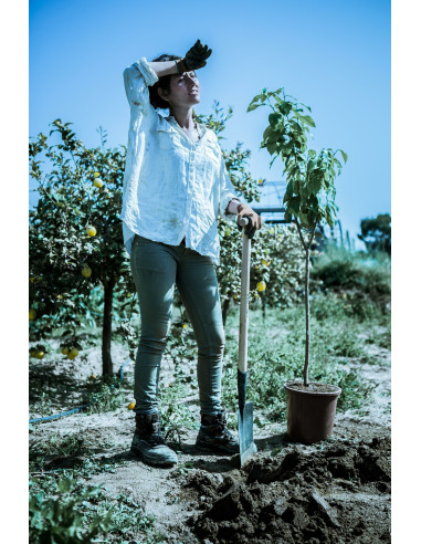 Palote estampado para trasplantar y...