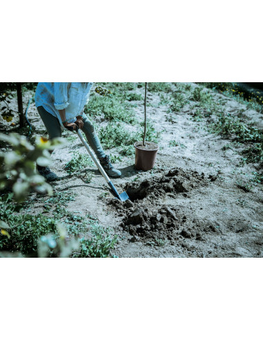 Palote Forjado de uso intensivo y en...