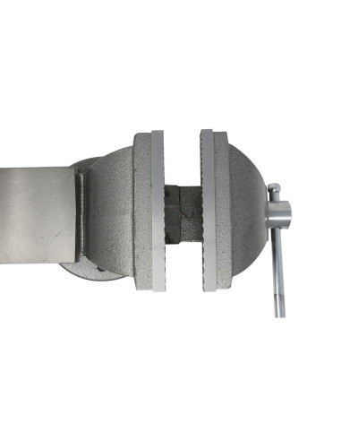 Tornillo de banco fundido / 6710