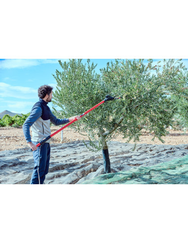 Cable extensor de 15m para  Vareador...