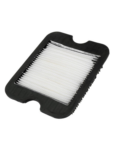 Filtro de aire para soplador SM8000E...